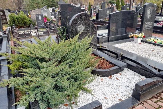 Низкий памятник и широкий можжевельник